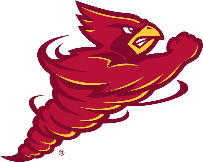 Iowa State Cyclones 2008-Pres Alternate Logo diy DTF decal sticker